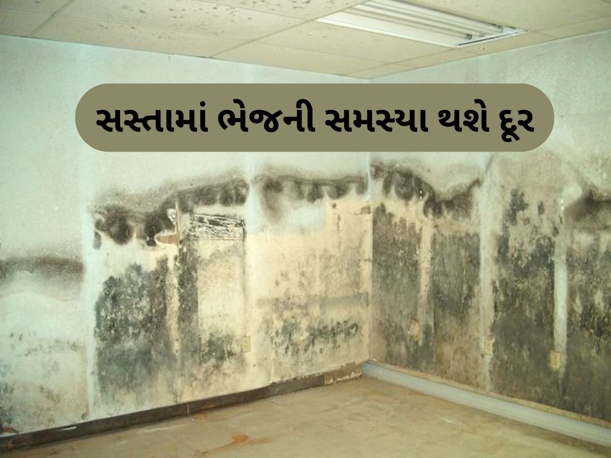 શું તમારા ઘરમાં પણ છે ભેજની સમસ્યા? માત્ર 10 રૂપિયામાં ખરીદી લો આ સફેદ પાઉડર, સસ્તી અને સરળ ટિપ્સ આવશે કામ શું તમારા ઘરમાં પણ છે ભેજની સમસ્યા? માત્ર 10 રૂપિયામાં ખરીદી લો આ સફેદ પાઉડર, સસ્તી અને સરળ ટિપ્સ આવશે કામ