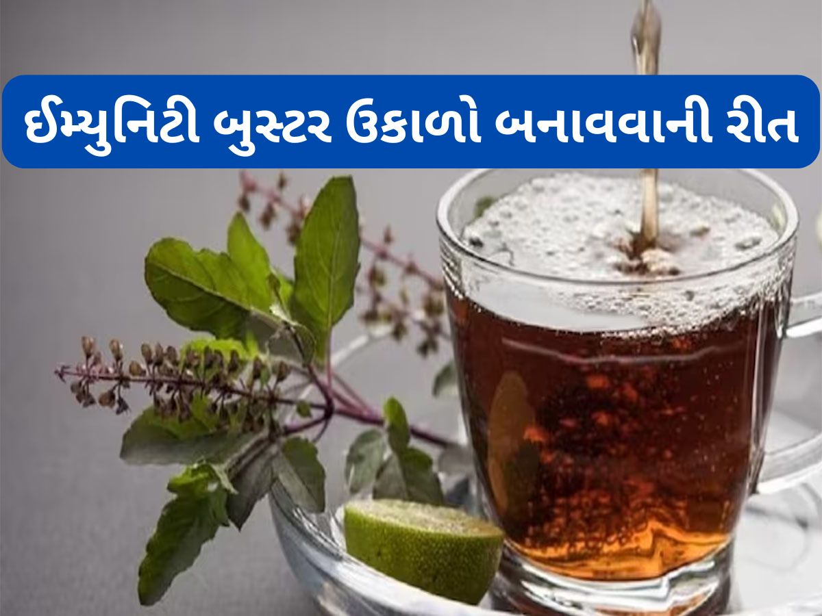 Health Tips: ચોમાસામાં તુલસી-મરીનો ઉકાળો પીવાથી થશે લાભ, શરીરની આસપાસ પણ નહીં ફરકે બીમારીઓ Health Tips: ચોમાસામાં તુલસી-મરીનો ઉકાળો પીવાથી થશે લાભ, શરીરની આસપાસ પણ નહીં ફરકે બીમારીઓ