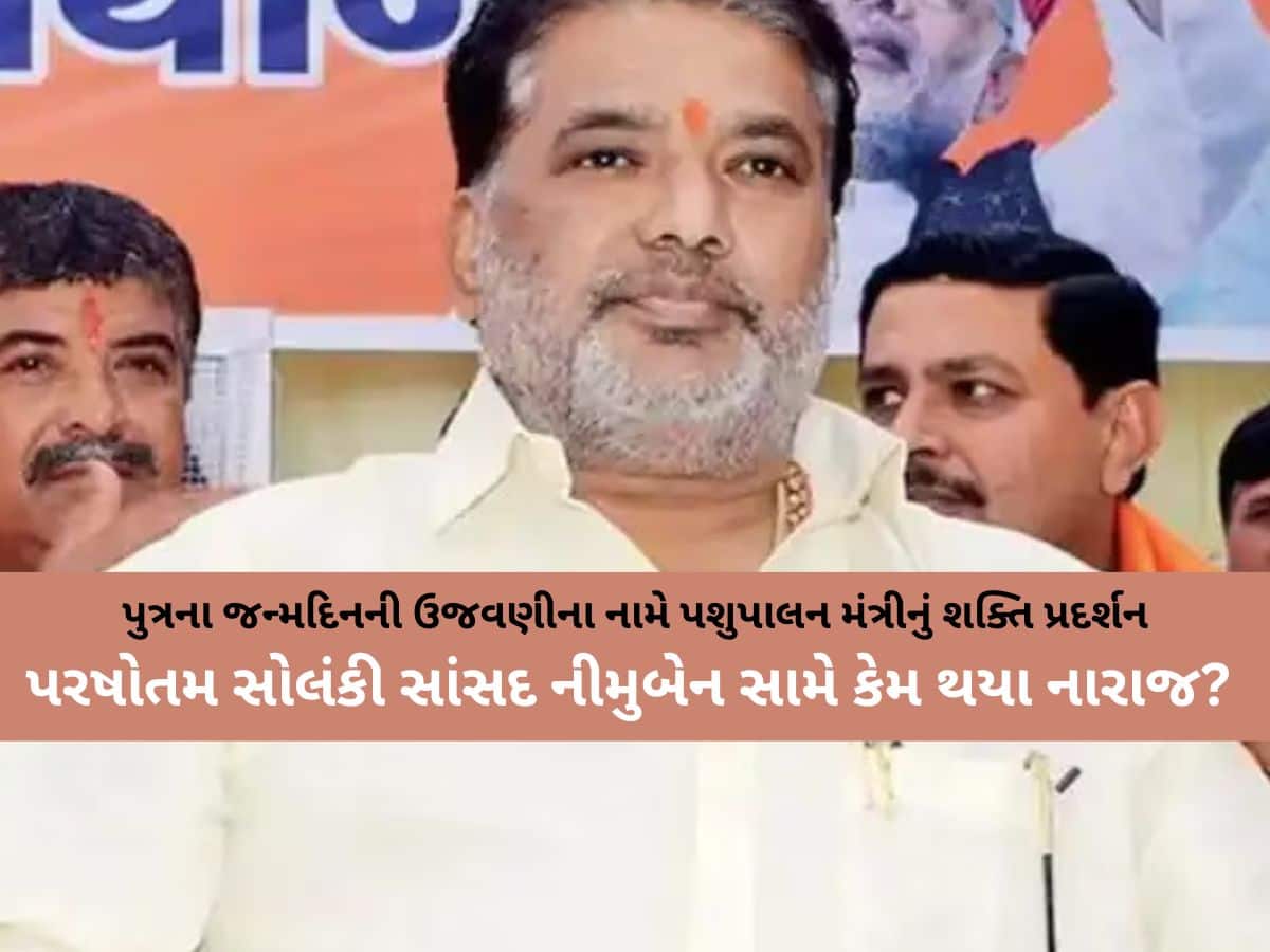 'બેને કીધું હોત તો પ્લેનની ટિકિટ મોકલી આપત, મેં બહેન માટે શું નથી કર્યું', નિમુબેનથી નારાજ થયા મંત્રી