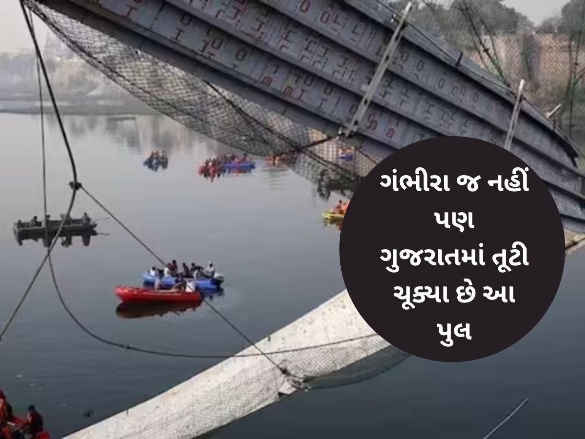 ગંભીરા બ્રિજ જ નહીં, ગુજરાતમાં અત્યાર સુધી કેટલાં પુલ તૂટ્યાં? ઉભા થયા અનેક સવાલ ગંભીરા બ્રિજ જ નહીં, ગુજરાતમાં અત્યાર સુધી કેટલાં પુલ તૂટ્યાં? ઉભા થયા અનેક સવાલ