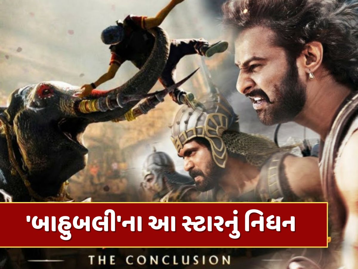 વધુ એક કલાકારનું નિધન, બ્લોકબસ્ટર ફિલ્મ 'બાહુબલી'ના આ સ્ટારે દુનિયાને કહ્યું અલવિદા વધુ એક કલાકારનું નિધન, બ્લોકબસ્ટર ફિલ્મ 'બાહુબલી'ના આ સ્ટારે દુનિયાને કહ્યું અલવિદા