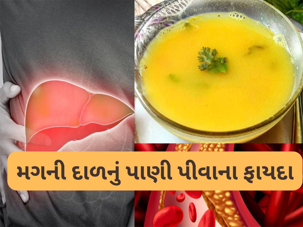 Moong Dal: ફેટી લિવર અને બેડ કોલેસ્ટ્રોલ માટે વરદાન છે આ દાળનું પાણી, પીવાથી શરીર થશે ડિટોક્સ