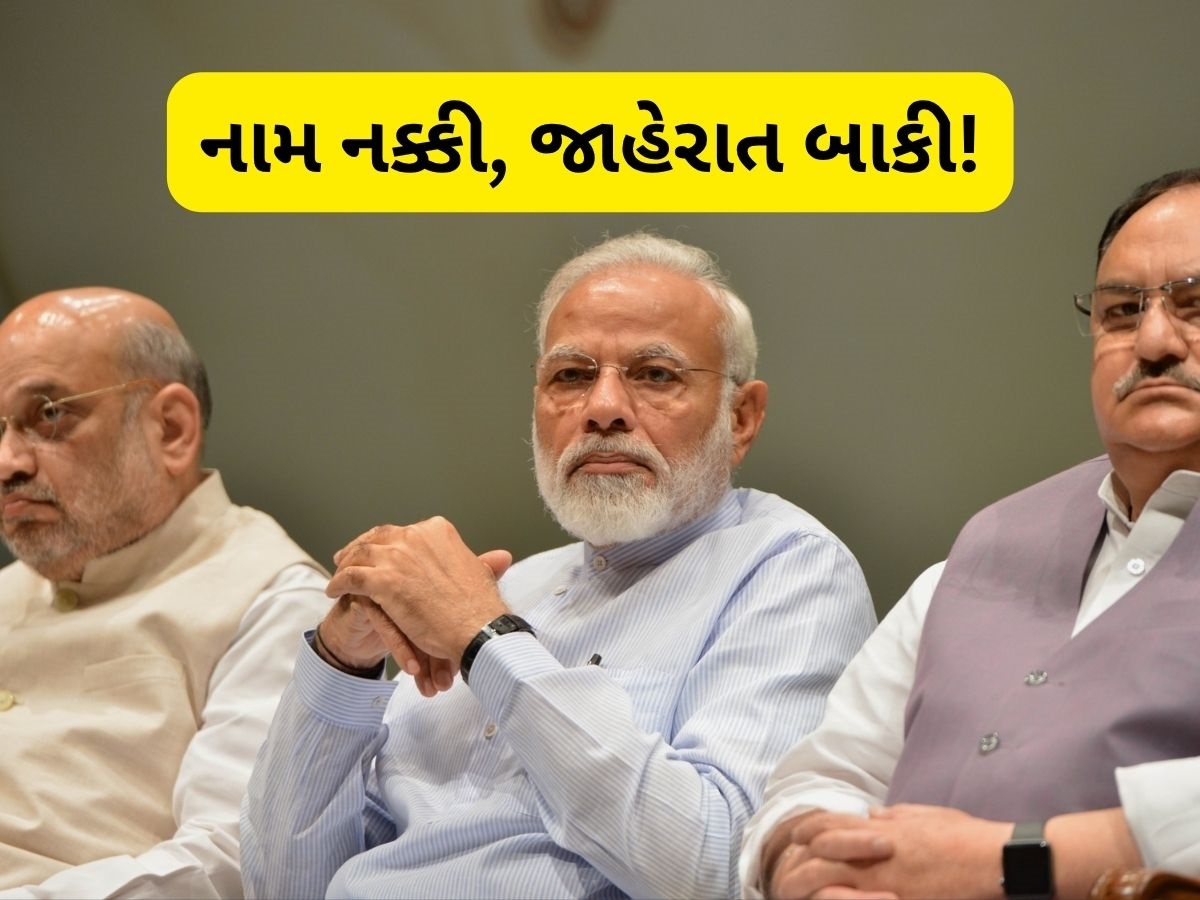 BJP President: તો થઈ ગયું ફાઇનલ! ભાજપને ક્યારે મળશે નવા રાષ્ટ્રીય અધ્યક્ષ! રેસમાં આ નામ ટોપ પર BJP President: તો થઈ ગયું ફાઇનલ! ભાજપને ક્યારે મળશે નવા રાષ્ટ્રીય અધ્યક્ષ! રેસમાં આ નામ ટોપ પર