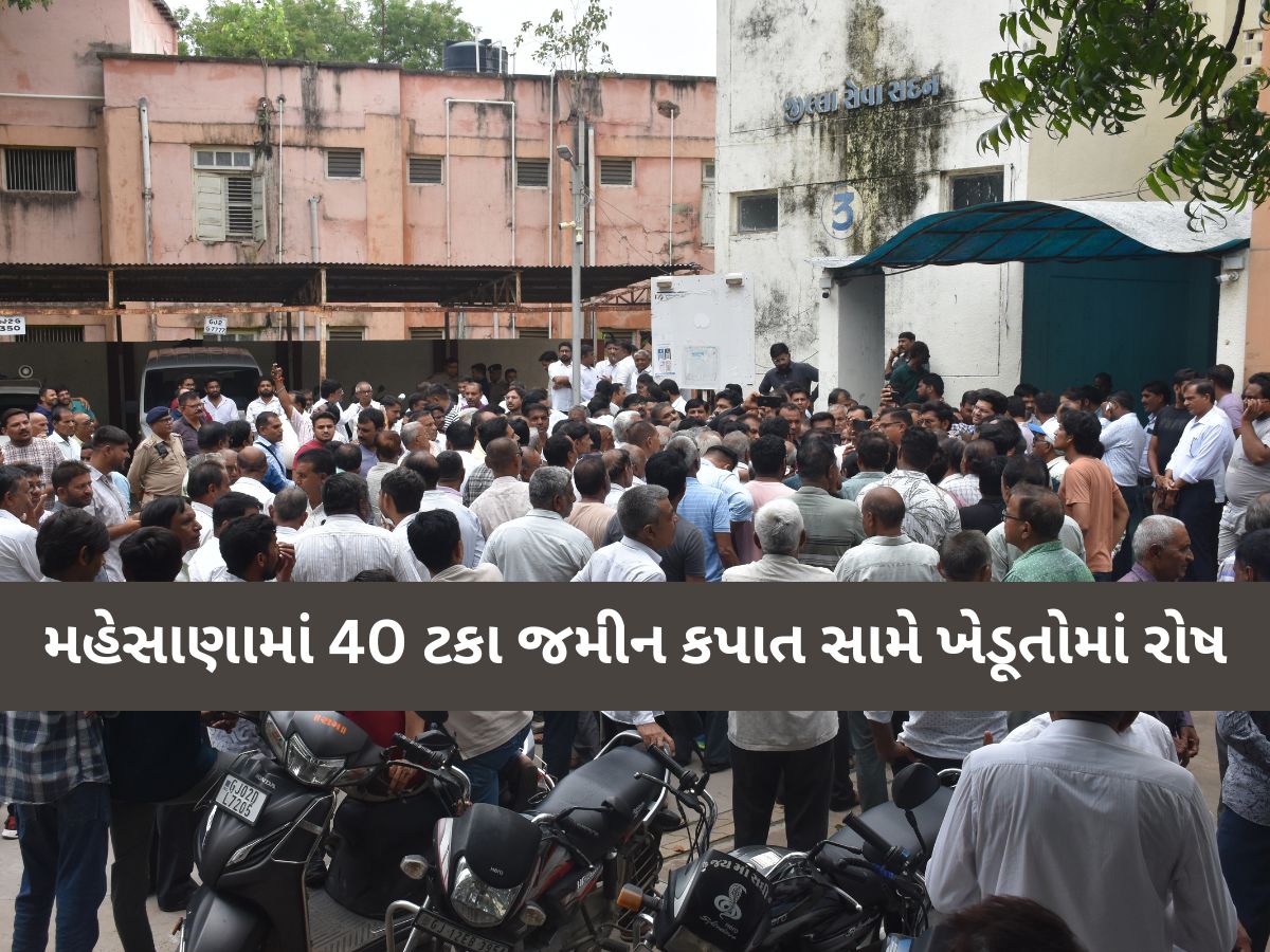 મહેસાણામાં 40 ટકા જમીન કપાતના નવા નિયમોને લઈને વિવાદ; ખેડૂતોના વ્હારે ભારતીય કિસાન સંઘ મહેસાણામાં 40 ટકા જમીન કપાતના નવા નિયમોને લઈને વિવાદ; ખેડૂતોના વ્હારે ભારતીય કિસાન સંઘ