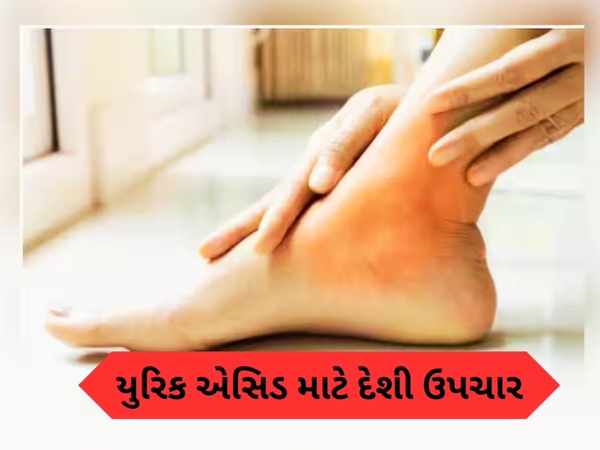 Uric Acid નો સફાયો કરી દેશે આ સસ્તા પાન, ફરી ક્યારેય નહીં વધે યુરિક એસિડ Uric Acid નો સફાયો કરી દેશે આ સસ્તા પાન, ફરી ક્યારેય નહીં વધે યુરિક એસિડ