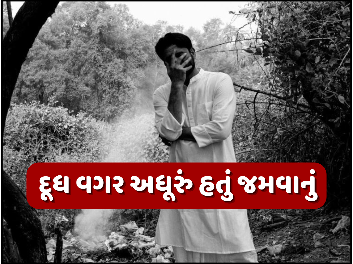 40 રોટલી, દોઢ લીટર દૂધ સફાચટ કરી જાય છે સુપર સ્ટાર, દેશી છોરાની ડાયટ ઉડાવી દેશે તમારા હોંશ! 40 રોટલી, દોઢ લીટર દૂધ સફાચટ કરી જાય છે સુપર સ્ટાર, દેશી છોરાની ડાયટ ઉડાવી દેશે તમારા હોંશ!