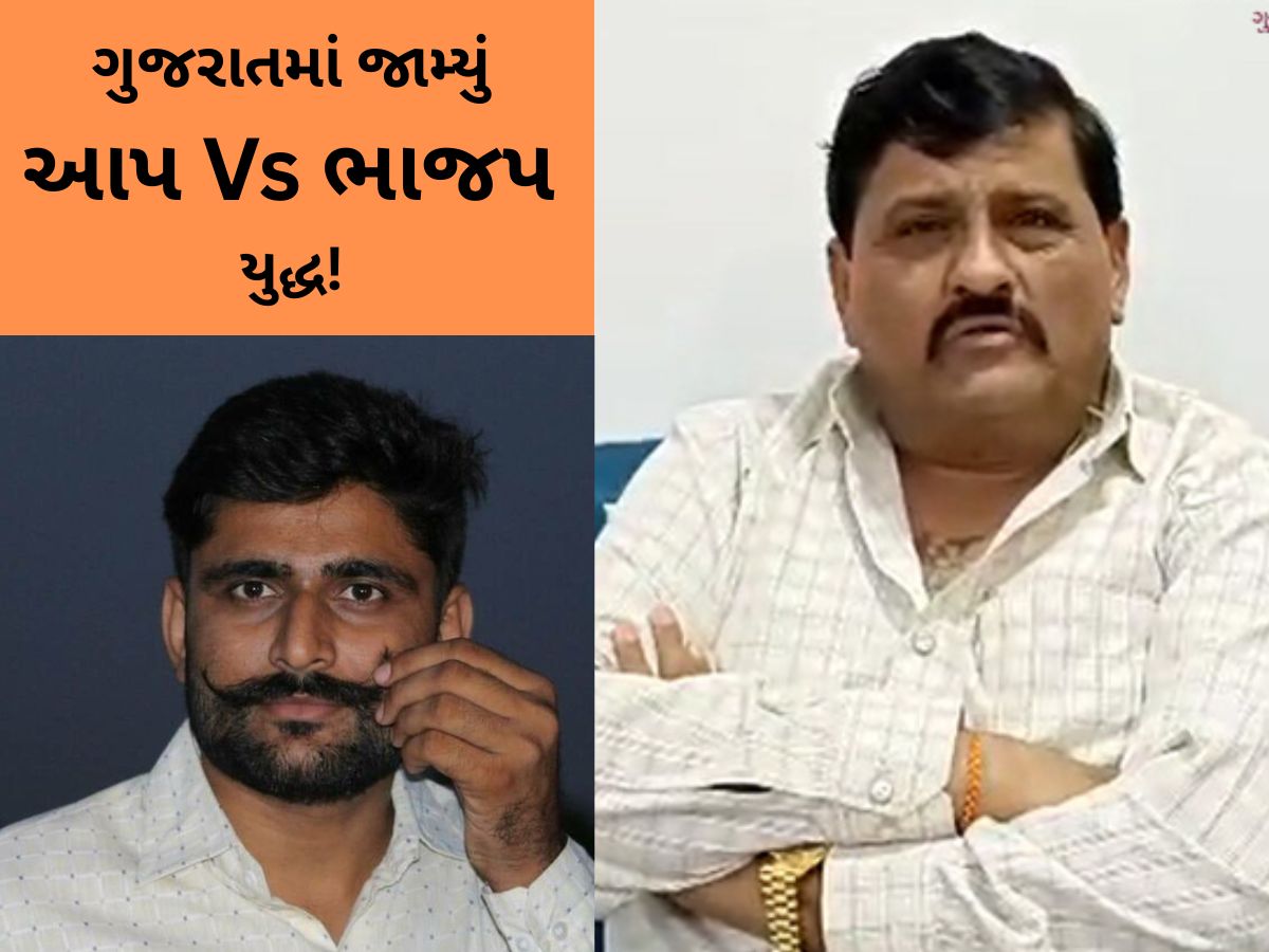 ગોપાલ જીતી જાય તો 2 કરોડ આપીશ, સુરા બોલ્યા ફરે નહીં... કાંતિ અમૃતિયાનો ઈટાલિયાને પડકાર ગોપાલ જીતી જાય તો 2 કરોડ આપીશ, સુરા બોલ્યા ફરે નહીં... કાંતિ અમૃતિયાનો ઈટાલિયાને પડકાર