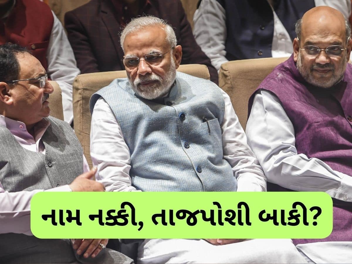 માત્ર નામની જાહેરાત બાકી, BJP એ નક્કી કરી લીધા રાષ્ટ્રીય અધ્યક્ષ? PM મોદીની પસંદ પર લાગી મહોર