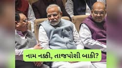 માત્ર નામની જાહેરાત બાકી, BJP એ નક્કી કરી લીધા રાષ્ટ્રીય અધ્યક્ષ? PM મોદીની પસંદ પર