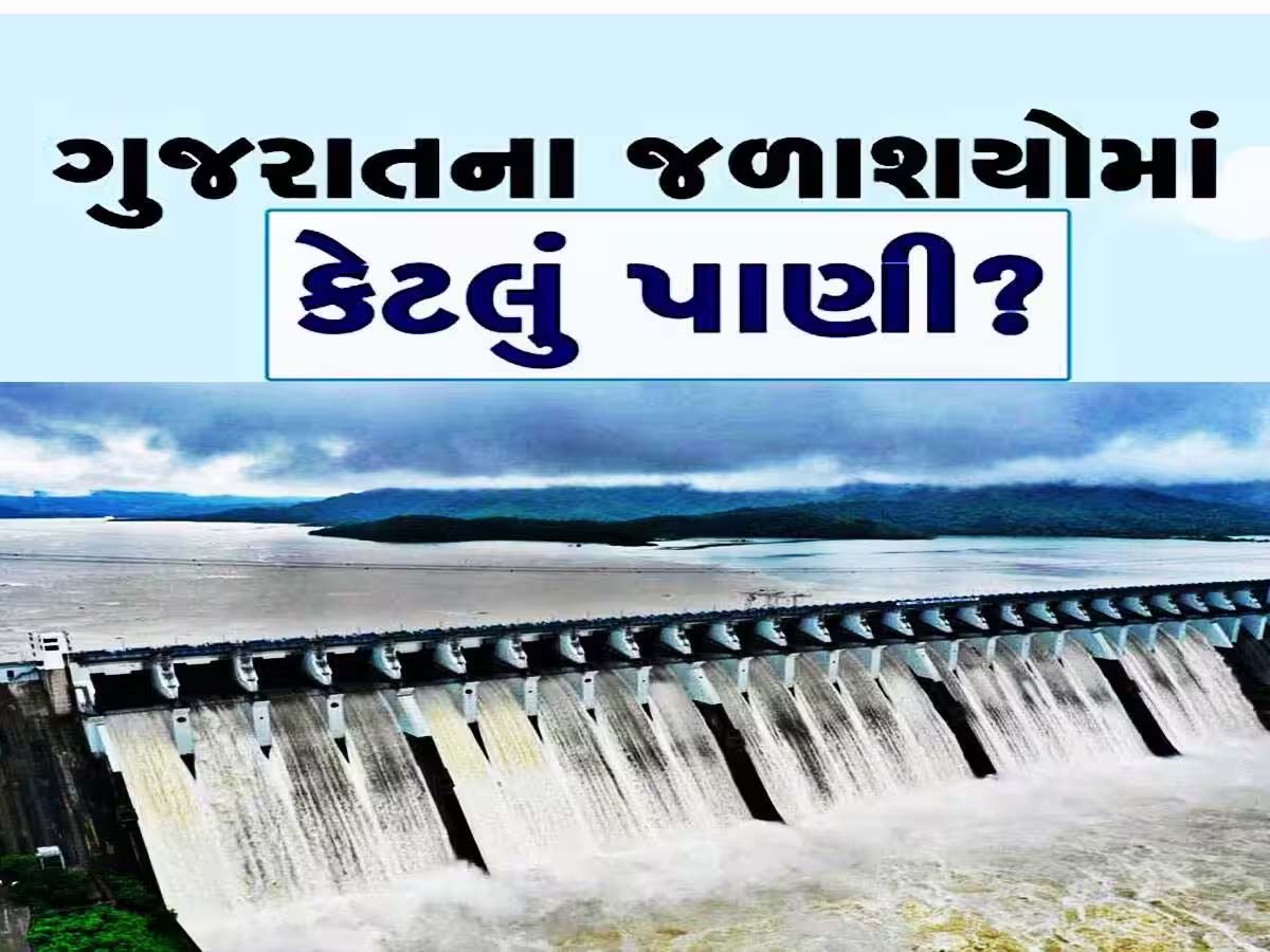 ગુજરાતમાં સૌથી વધુ વરસાદ ક્યાં વરસ્યો? જાણો સરદાર સરોવર સહિત 207 જળાશયોમાં કેટલું પાણી? ગુજરાતમાં સૌથી વધુ વરસાદ ક્યાં વરસ્યો? જાણો સરદાર સરોવર સહિત 207 જળાશયોમાં કેટલું પાણી?