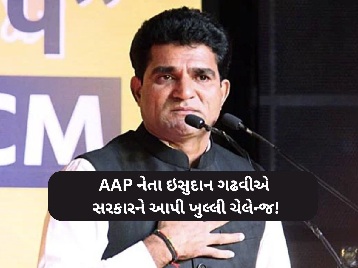 "એક-બે પર કેમ? 161 બેઠકો પર અમે તૈયાર, આવી જાઓ મેદાન...", ઇસુદાને સરકારને આપી ખુલ્લી ચેલેન્જ! "એક-બે પર કેમ? 161 બેઠકો પર અમે તૈયાર, આવી જાઓ મેદાન...", ઇસુદાને સરકારને આપી ખુલ્લી ચેલેન્જ!