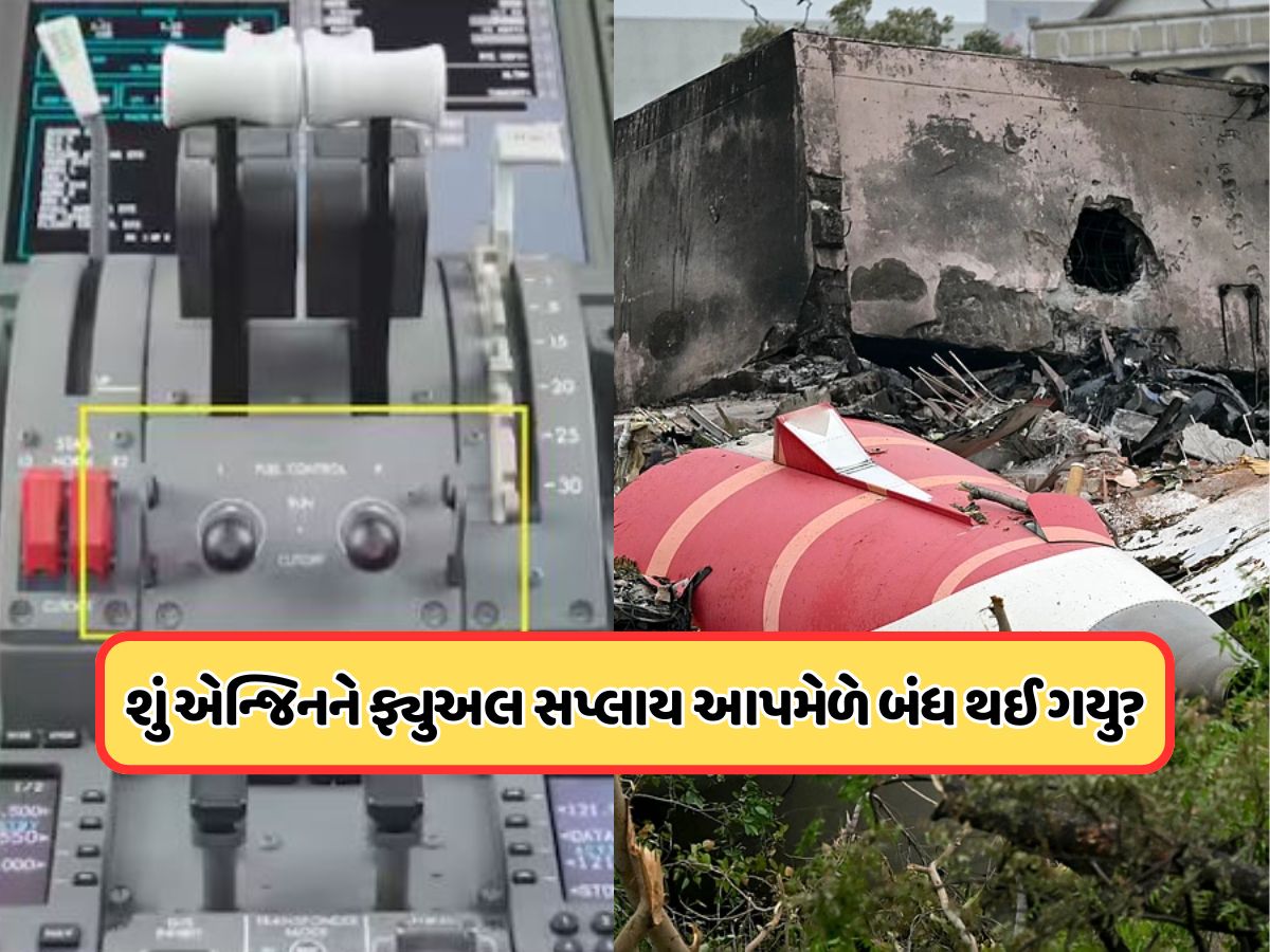 શું હોય છે પ્લેનની ફ્યુઅલ કંટ્રોલ સ્વીચ, જાણો તેનાથી કેવી રીતે પ્લેન થઈ શકે છે ક્રેશ શું હોય છે પ્લેનની ફ્યુઅલ કંટ્રોલ સ્વીચ, જાણો તેનાથી કેવી રીતે પ્લેન થઈ શકે છે ક્રેશ