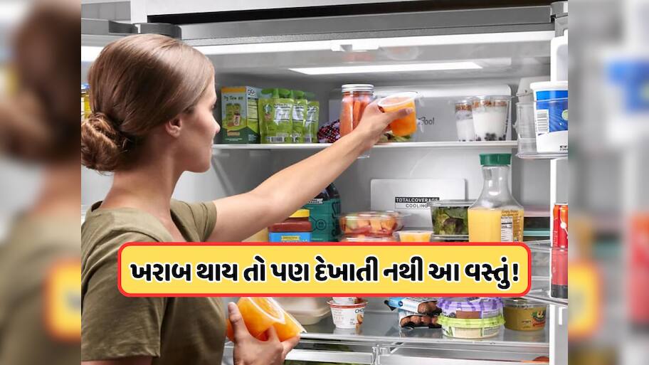 ફ્રીજમાં ભૂલથી પણ ન રાખવી જોઈએ આ 5 વસ્તુઓ, છુપી રીતે શરીરને પહોંચાડે છે નુકસાન !