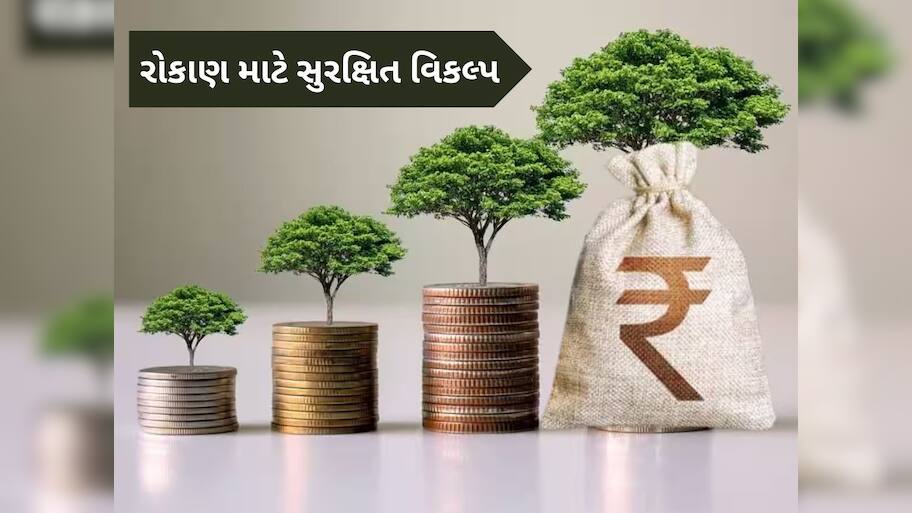 પૈસા ડૂબશે નહીં, ફક્ત વધશે: આ છે 5 'મહા-સુરક્ષિત' રોકાણ, આંખ બંધ કરી લગાવો પૈસા!
