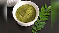 Belly Fat: પેટની ચરબીને એક મહિનામાં ઓગાળી નાખશે આ પાન, રોજ વાસી મોઢે 5 પાન ચાવી લેવા