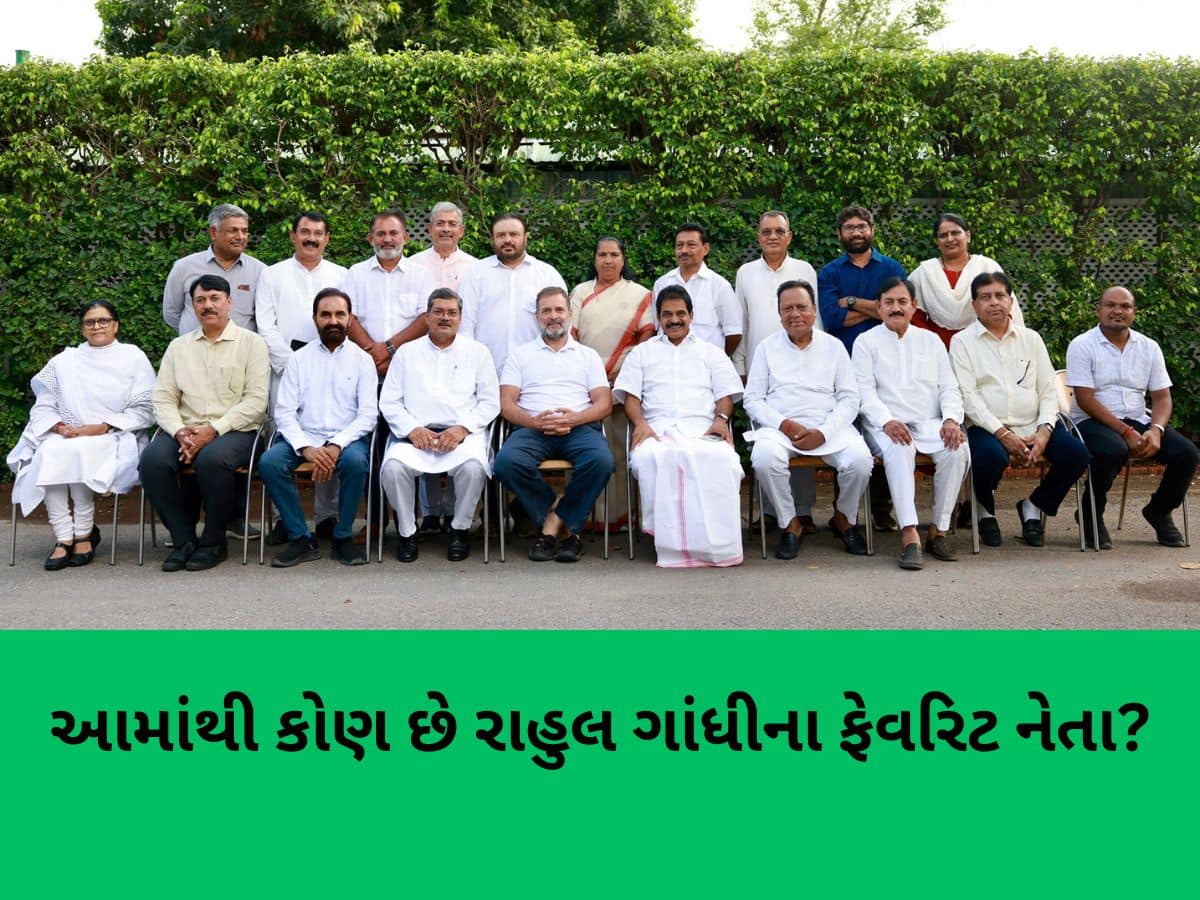 ગજરાત કોંગ્રેસના આ નેતા છે રાહુલ ગાંધીની પહેલી પસંદ, સોંપાઈ શકે છે પ્રમુખ પદ