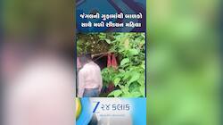કર્ણાટકની ઘટનાથી સૌ ચોંકી ઉઠ્યાં! ગાઢ જંગલોની ગુફામાંથી મળી રશિયન મહિલા અને બે બાળકો