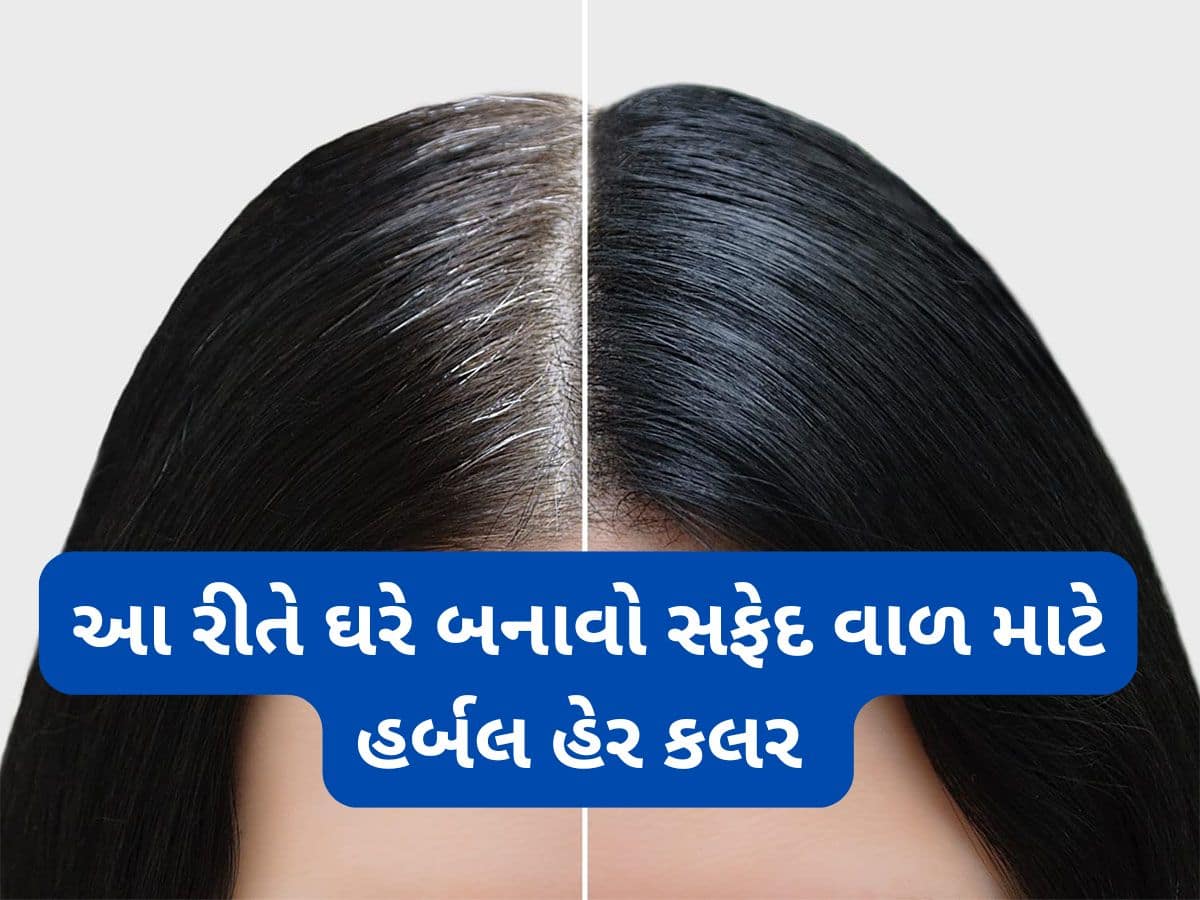 White Hair Solution: નેચરલ વસ્તુઓની મદદથી ઘરે 10 મિનિટમાં બનાવો હર્બલ હેર કલર, માથાની સાથે દાઢીના સફેદ વાળ પર પણ યુઝ કરી શકો છો