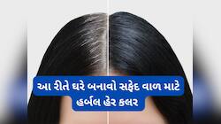 White Hair Solution: નેચરલ વસ્તુઓની મદદથી ઘરે 10 મિનિટમાં બનાવો હર્બલ હેર કલર