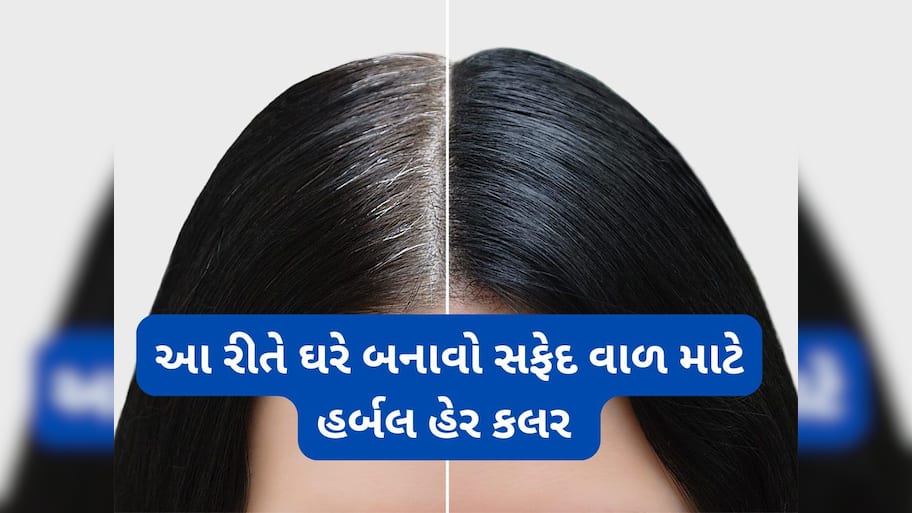 White Hair Solution: નેચરલ વસ્તુઓની મદદથી ઘરે 10 મિનિટમાં બનાવો હર્બલ હેર કલર, માથાની સાથે દાઢીના સફેદ વાળ પર પણ યુઝ કરી શકો છો