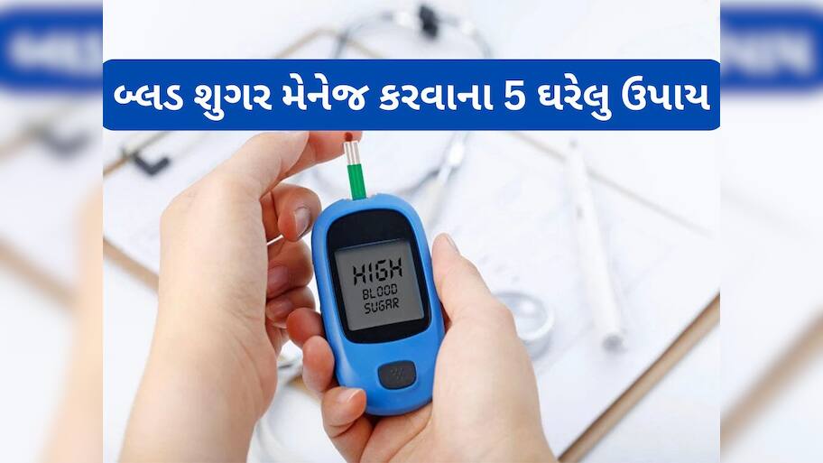 Diabetes: હાઈ બ્લડ શુગરને કંટ્રોલ કરવાના 5 ઘરેલુ નુસખા, પહેલીવાર યુઝ કર્યાની સાથે જ દેખાશે ફાયદો