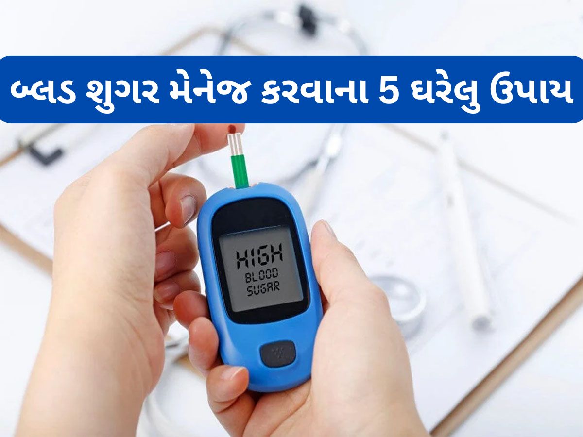 Diabetes: હાઈ બ્લડ શુગરને કંટ્રોલ કરવાના 5 ઘરેલુ નુસખા, પહેલીવાર યુઝ કર્યાની સાથે જ દેખાશે ફાયદો Diabetes: હાઈ બ્લડ શુગરને કંટ્રોલ કરવાના 5 ઘરેલુ નુસખા, પહેલીવાર યુઝ કર્યાની સાથે જ દેખાશે ફાયદો