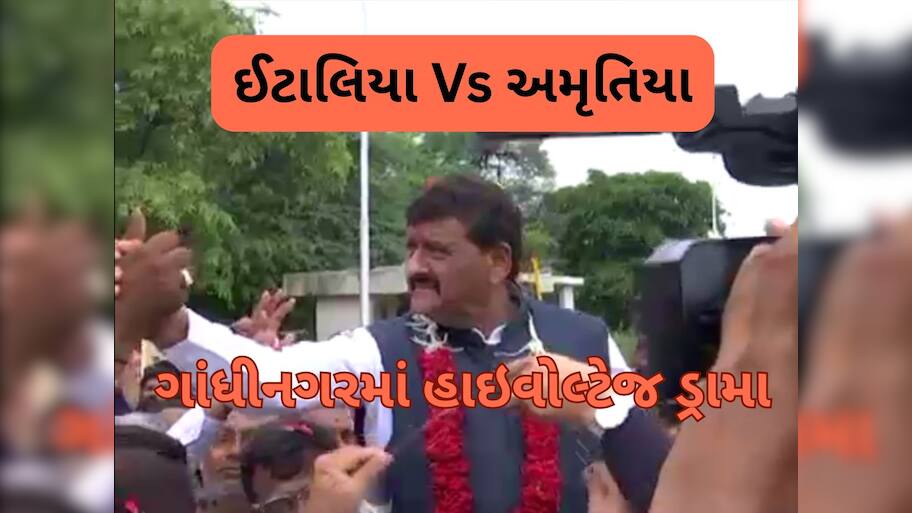 કાનાનો પોલિટિકલ સ્ટંટ, 2027 ની તૈયારી કે પછી...? કાંતિ અમૃતિયા રાજીનામું આપ્યા વગર પરત ફર્યા