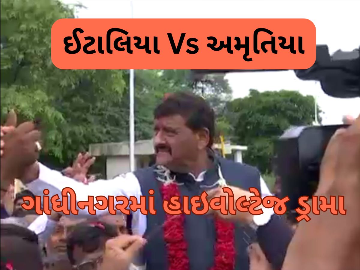 કાનાનો પોલિટિકલ સ્ટંટ, 2027 ની તૈયારી કે પછી...? કાંતિ અમૃતિયા રાજીનામું આપ્યા વગર પરત ફર્યા કાનાનો પોલિટિકલ સ્ટંટ, 2027 ની તૈયારી કે પછી...? કાંતિ અમૃતિયા રાજીનામું આપ્યા વગર પરત ફર્યા