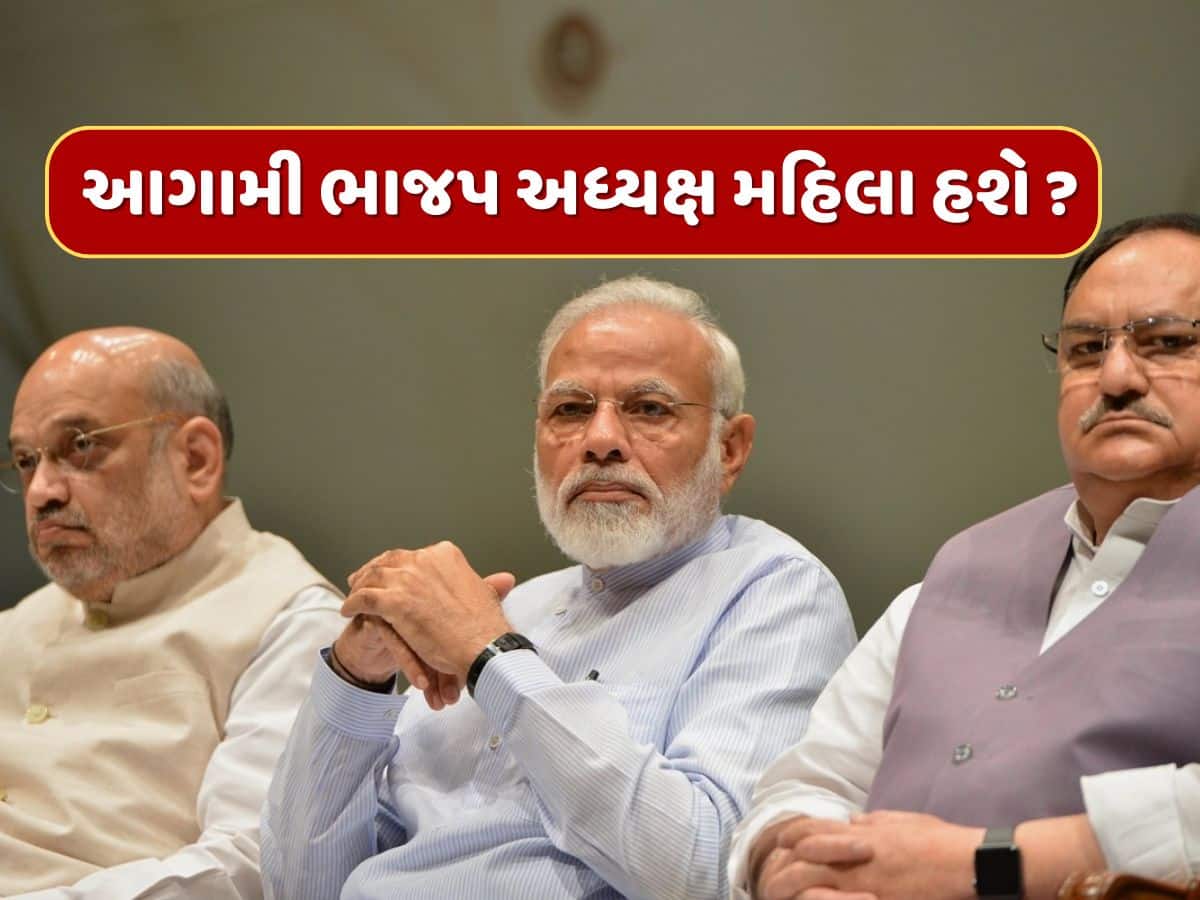 આગામી ભાજપ અધ્યક્ષ PM મોદી અને શાહ કરતાં પણ હશે વધુ તાકતવર ? નાગપુરથી શું આવ્યો સંદેશ ?