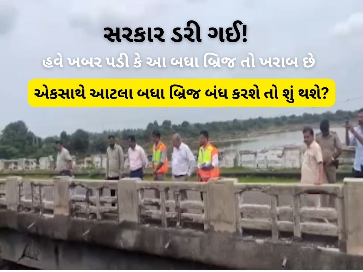 પાડાના વાંકે પખાલીને ડામ! સરકારે સમયસર સમારકામ ન કરાવ્યું, હવે બ્રિજ બંધ કરાવવા નીકળ્યા, પ્રજાની હાલાકીનું શું પાડાના વાંકે પખાલીને ડામ! સરકારે સમયસર સમારકામ ન કરાવ્યું, હવે બ્રિજ બંધ કરાવવા નીકળ્યા, પ્રજાની હાલાકીનું શું