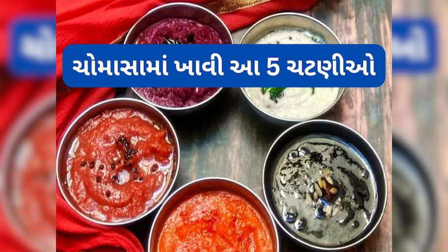Tasty Chutneys: ચોમાસામાં આ 5 ચટણી ભોજન સાથે ખાશો તો જીભને સ્વાદ મળવાની સાથે શરીરને લાભ પણ મળશે