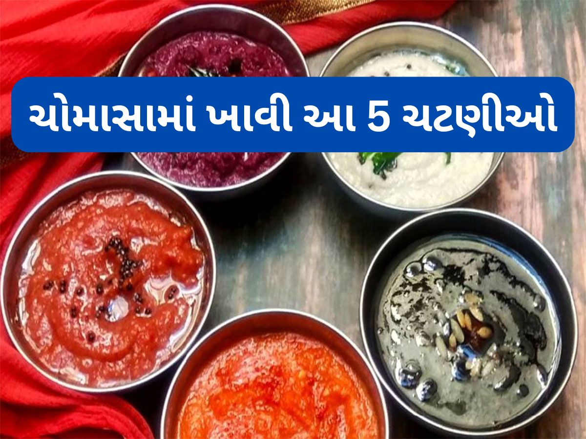 Tasty Chutneys: ચોમાસામાં આ 5 ચટણી ભોજન સાથે ખાશો તો જીભને સ્વાદ મળવાની સાથે શરીરને લાભ પણ મળશે Tasty Chutneys: ચોમાસામાં આ 5 ચટણી ભોજન સાથે ખાશો તો જીભને સ્વાદ મળવાની સાથે શરીરને લાભ પણ મળશે