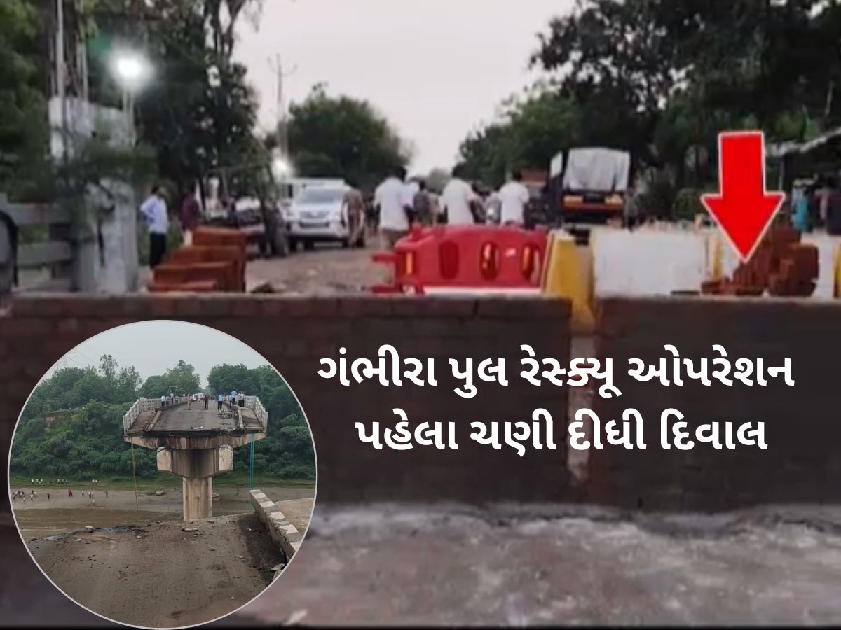 ગંભીરા પુલ રેસ્ક્યૂ ઓપરેશન પહેલા ચણી દેવાયેલી દિવાલ અંગે કલેક્ટરે કર્યો મોટો ખુલાસો ગંભીરા પુલ રેસ્ક્યૂ ઓપરેશન પહેલા ચણી દેવાયેલી દિવાલ અંગે કલેક્ટરે કર્યો મોટો ખુલાસો
