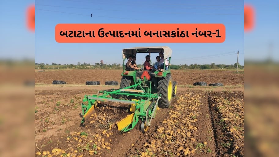  ફ્રેન્ચ ફ્રાઈસમાં વપરાતા બટાટાના ઉત્પાદનમાં ગુજરાતે બાજી મારી, 48.59 લાખ ટનનું ઉત્પાદન