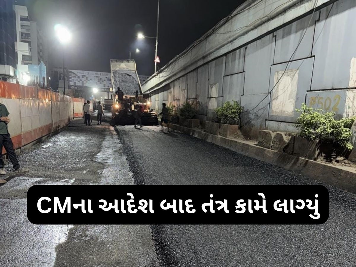 ગુજરાતના બ્રિજોનો આવી ગયો રિપોર્ટ : સરકારે જાહેર કર્યા આંકડા, જાણો કેટલા છે જર્જરિત ગુજરાતના બ્રિજોનો આવી ગયો રિપોર્ટ : સરકારે જાહેર કર્યા આંકડા, જાણો કેટલા છે જર્જરિત