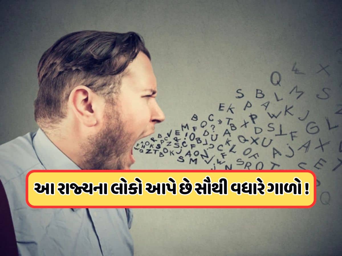 ગાળ દેવામાં સૌથી આગળ દિલ્હીના લોકો, બીજા નંબર પર છે પંજાબ, જાણો ગુજરાતનો રેન્ક