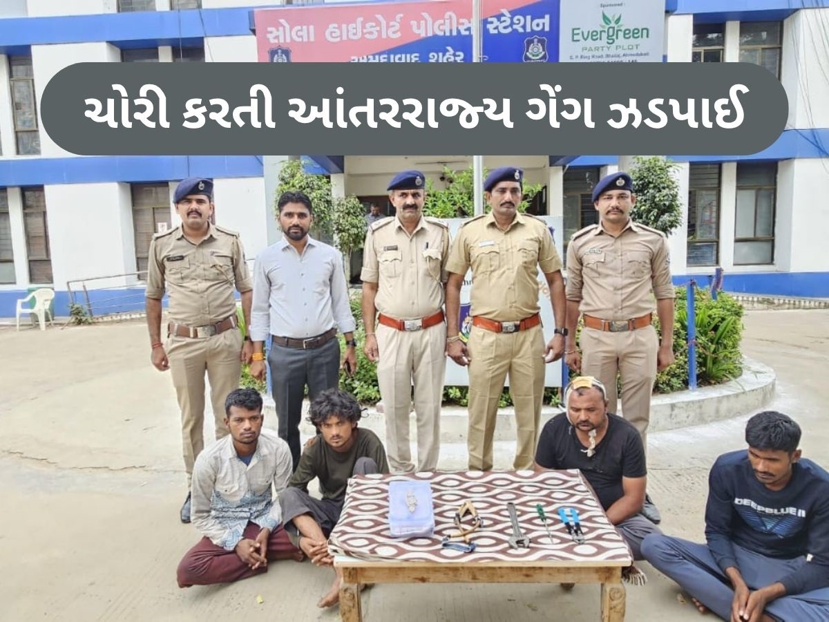 રક્ષાબંધનમાં બહેનને ભેટ આપવા માટે ચોરીને અંજામ આપતી હતી આ ગેંગ, સોલા પોલીસે કરી ધરપકડ રક્ષાબંધનમાં બહેનને ભેટ આપવા માટે ચોરીને અંજામ આપતી હતી આ ગેંગ, સોલા પોલીસે કરી ધરપકડ