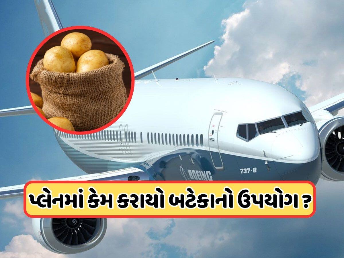 બોઇંગ કંપનીએ વિમાનની સીટ પર બટાકાના બોરીઓ કેમ મૂકી? જાણો તેમણે શું ટેસ્ટ કર્યું