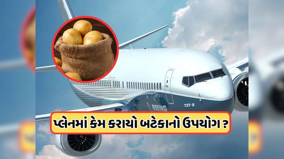 બોઇંગ કંપનીએ વિમાનની સીટ પર બટાકાના બોરીઓ કેમ મૂકી? જાણો તેમણે શું ટેસ્ટ કર્યું