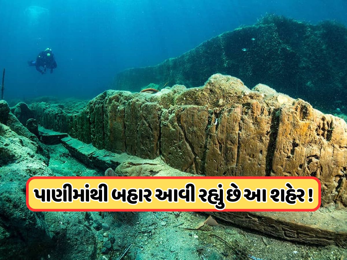 ચમત્કાર! 2000 વર્ષ પહેલાં ડૂબી ગયેલું શહેર, પોતાની મેળે ધીમે ધીમે બહાર આવવા લાગ્યું, એક ગોતાખોરે બતાવ્યો અંદરનો નજારો ચમત્કાર! 2000 વર્ષ પહેલાં ડૂબી ગયેલું શહેર, પોતાની મેળે ધીમે ધીમે બહાર આવવા લાગ્યું, એક ગોતાખોરે બતાવ્યો અંદરનો નજારો