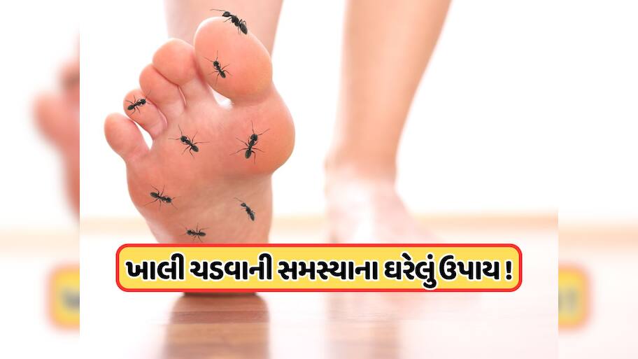 હાથ-પગમાં વારંવાર ચડી જાય છે ખાલી ? જાણો તેની પાછળના કારણો અને ઘરેલું ઉપાયો