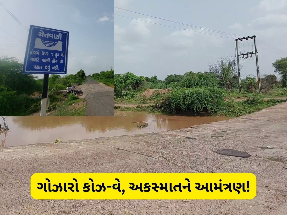 બોટાદ જિલ્લામાં મોતનો કોઝ-વે! સતત રહે છે અકસ્માતનો ભય, 2 દિવસ પહેલા ત્રણના થયા હતા મોત બોટાદ જિલ્લામાં મોતનો કોઝ-વે! સતત રહે છે અકસ્માતનો ભય, 2 દિવસ પહેલા ત્રણના થયા હતા મોત