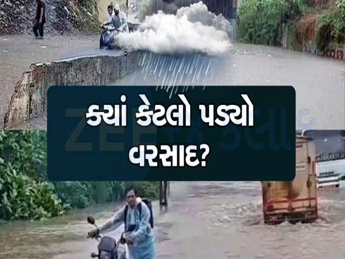 રાજ્યમાં 33 જિલ્લામાં હાલ સુધીમાં મોસમનો કુલ સરેરાશ વરસાદ 51.09% જેટલો નોંધાયો રાજ્યમાં 33 જિલ્લામાં હાલ સુધીમાં મોસમનો કુલ સરેરાશ વરસાદ 51.09% જેટલો નોંધાયો