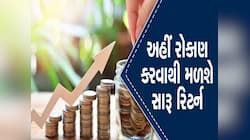 આ છે LICની બેસ્ટ 5 મ્યુચ્યુઅલ ફંડ સ્કીમ, વાર્ષિક 12થી 16% સુધી મળી રહ્યું છે રિટર્ન