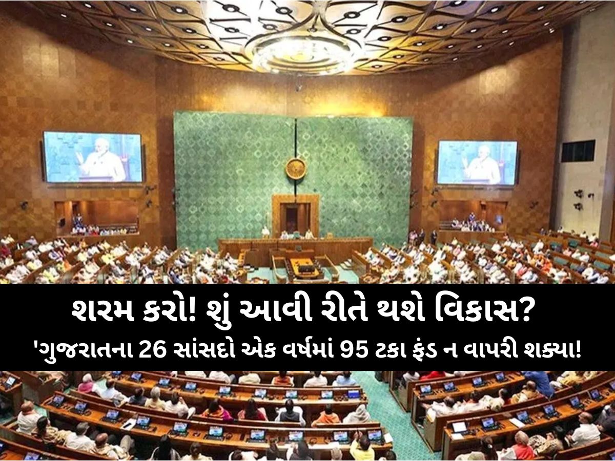 કયા મોંઢે માગશો મત! વિકાસની મોટી વાતો કરતા ગુજરાતના સાંસદોની ખૂલી પોલ, જાણો કંજૂસાઈનો આ અહેવાલ કયા મોંઢે માગશો મત! વિકાસની મોટી વાતો કરતા ગુજરાતના સાંસદોની ખૂલી પોલ, જાણો કંજૂસાઈનો આ અહેવાલ