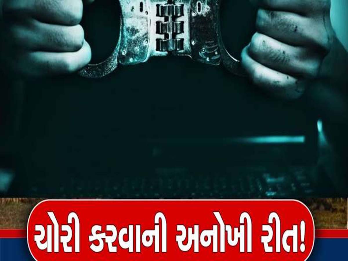ઘરની બહાર ફરવા જતા હોય તો સાવધાન! તમારી એક ભૂલ પડશે ભારે, વલસાડના એક ગામની ઘટના