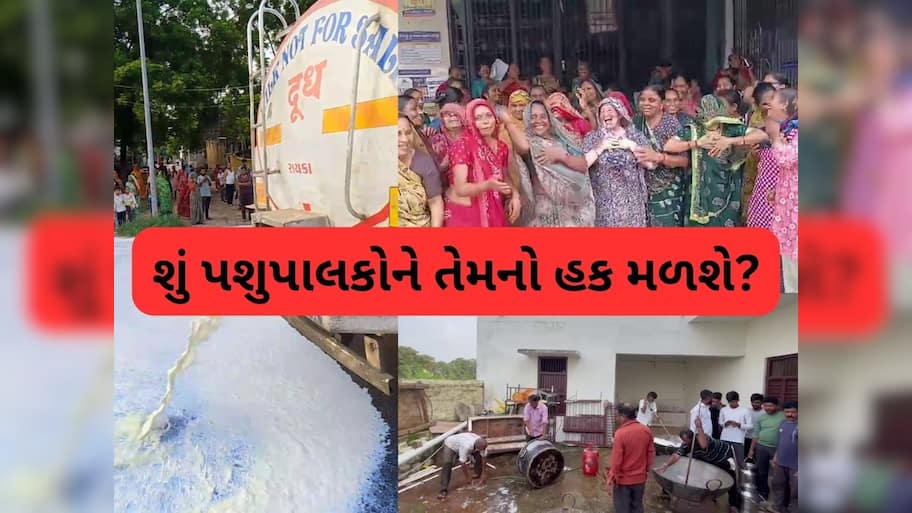 સતત ચોથા દિવસે સાબર ડેરીના પશુપાલકોનું ગામડે-ગામડે ઉગ્ર પ્રદર્શન, મહિલાઓ પણ મેદાનમાં ઉતરી
