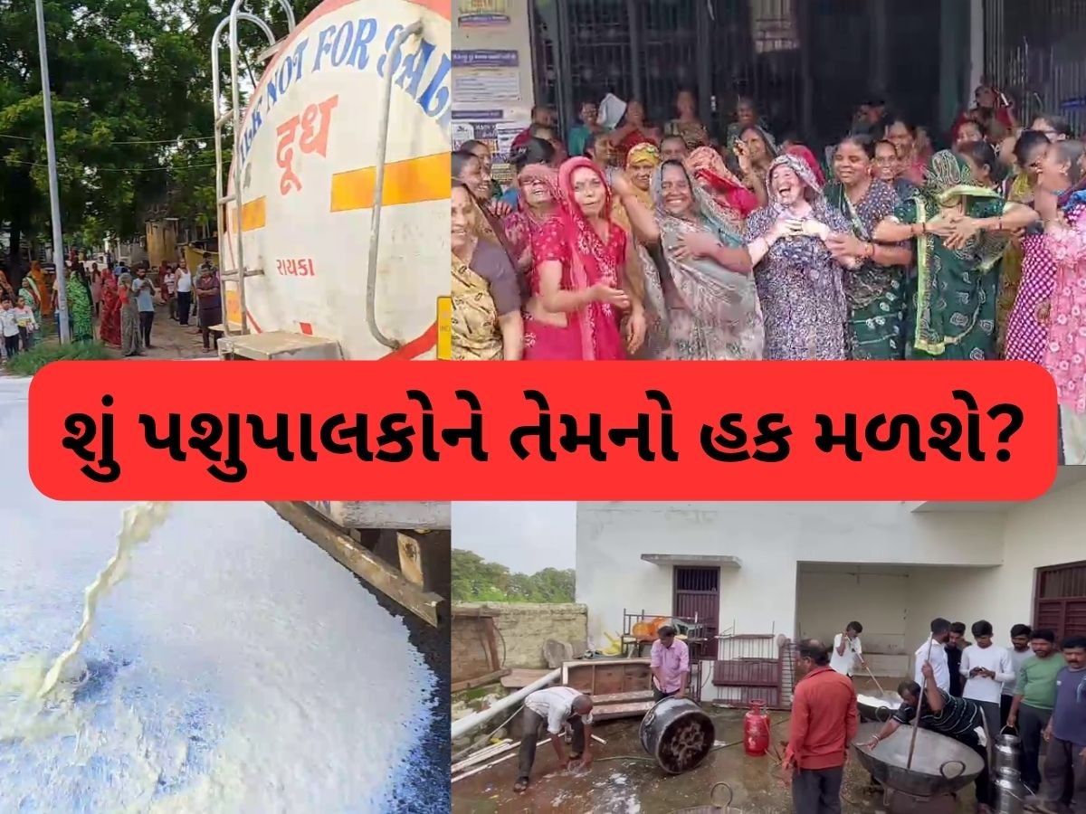 સતત ચોથા દિવસે સાબર ડેરીના પશુપાલકોનું ગામડે-ગામડે ઉગ્ર પ્રદર્શન, મહિલાઓ પણ મેદાનમાં ઉતરી સતત ચોથા દિવસે સાબર ડેરીના પશુપાલકોનું ગામડે-ગામડે ઉગ્ર પ્રદર્શન, મહિલાઓ પણ મેદાનમાં ઉતરી