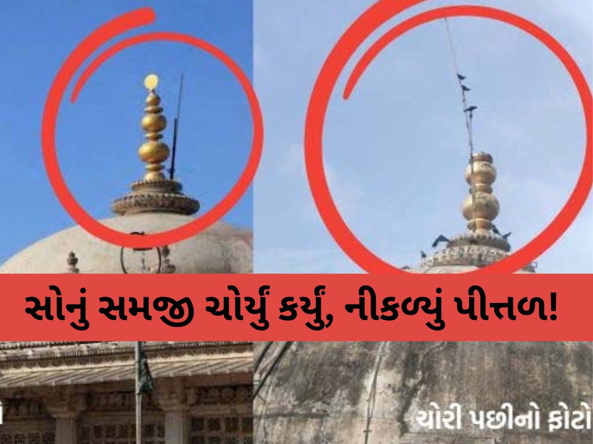 માત્ર દોરડાના સહારે આરોપીઓ ઐતિહાસિક કળશ ચોરી ગયા! સરખેજ રોઝાના ગુંબજના કળશ મામલે મોટો ખુલાસો માત્ર દોરડાના સહારે આરોપીઓ ઐતિહાસિક કળશ ચોરી ગયા! સરખેજ રોઝાના ગુંબજના કળશ મામલે મોટો ખુલાસો