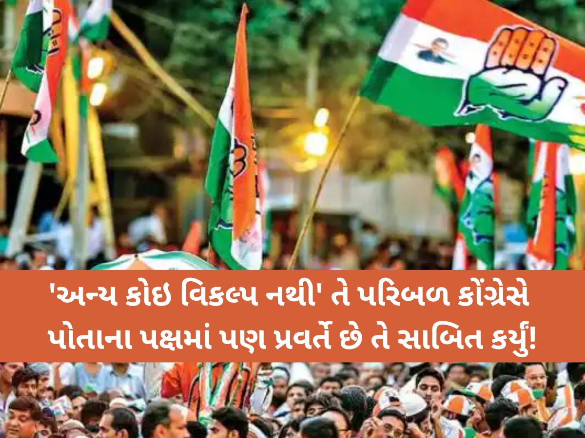 'અન્ય કોઇ વિકલ્પ નહીં' નું પરિબળ ગુજરાત કોંગ્રેસમાં લાગું! આ બે પરિવાર કોંગીનું TINA ફેક્ટર 'અન્ય કોઇ વિકલ્પ નહીં' નું પરિબળ ગુજરાત કોંગ્રેસમાં લાગું! આ બે પરિવાર કોંગીનું TINA ફેક્ટર